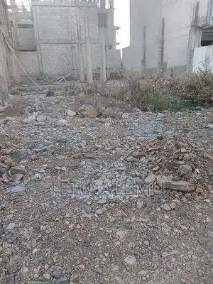 የሚሸጥ መሰርት በተዎዳጁ አራብሳ ዲያስፖራ