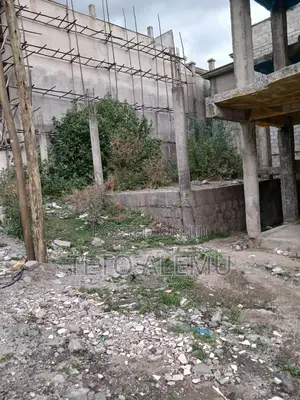 Photo - የሚሸጥ መሰርት ዲያስፖራ አራብሳ የጊዜ ተመራጭ ሳይት