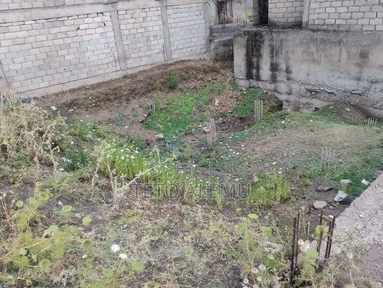 የሚሸጥ መሰርት አራብሳ ዲያስፖራ