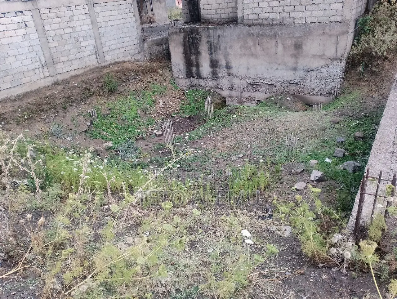 የሚሸጥ መሰርት አራብሳ ዲያስፖራ