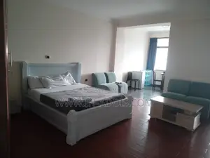 Photo - Furnished 1bdrm Apartment in Lideta for rent