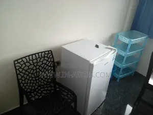 Furnished 1bdrm Apartment in Lideta for rent