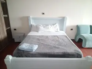 Furnished 1bdrm Apartment in Lideta for rent