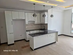 Furnished 2bdrm Apartment in አቤም ሆቴል አካባቢ, Addis Ketema for rent