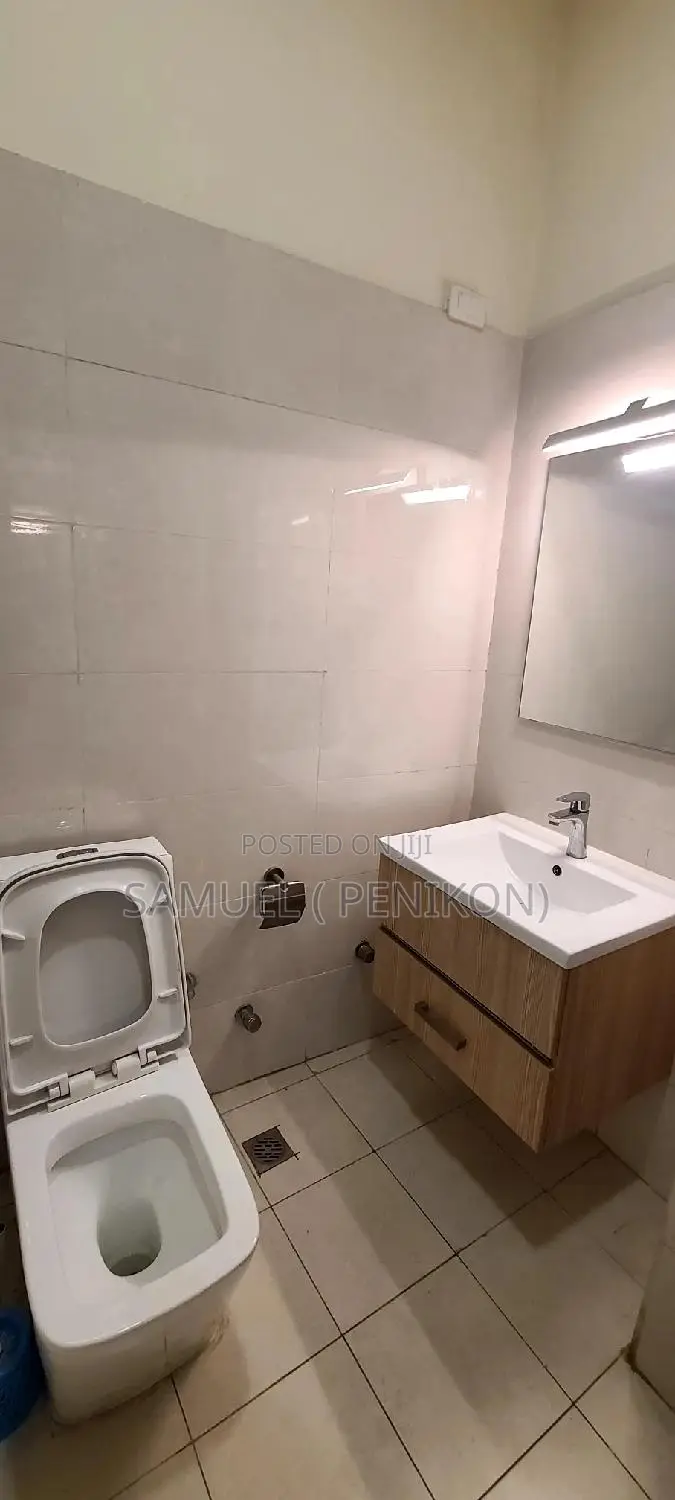 Furnished 3bdrm Apartment in Luxury Apartment, Bole for sale