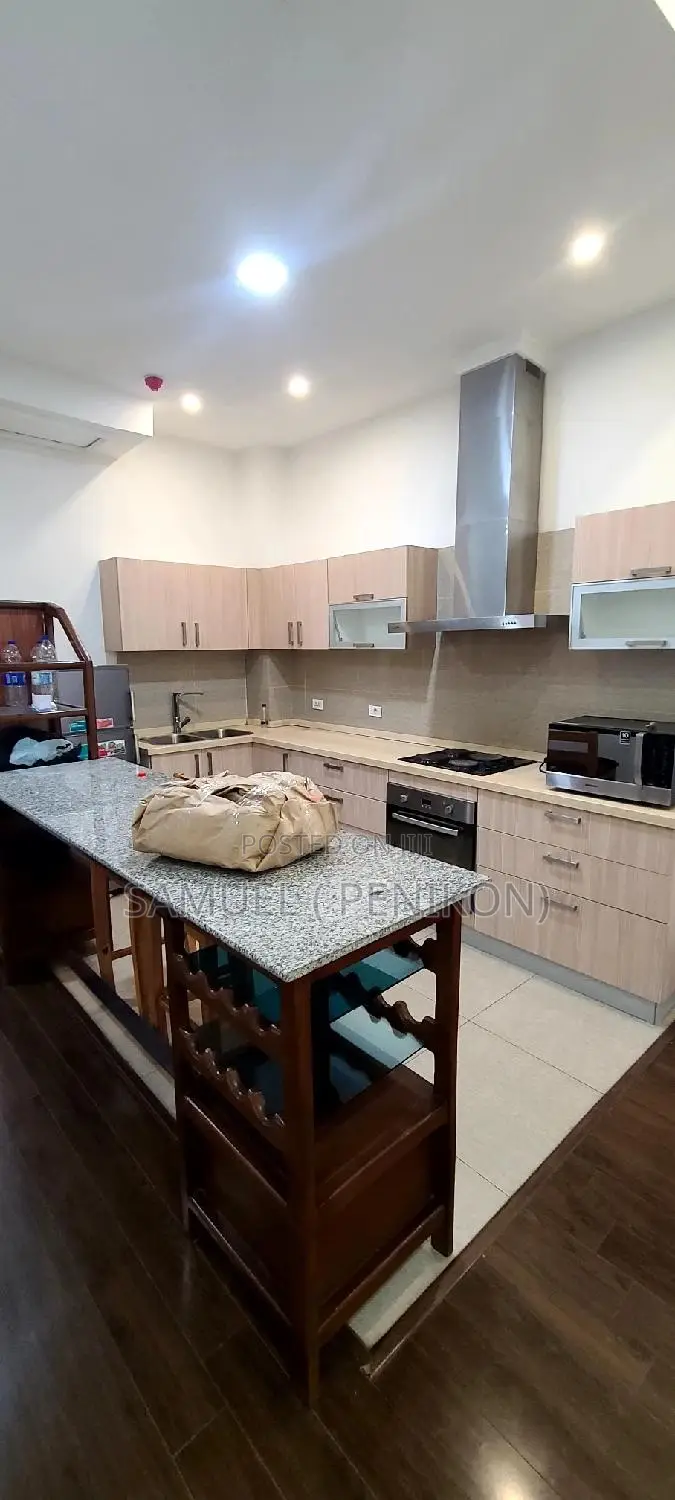 Furnished 3bdrm Apartment in Luxury Apartment, Bole for sale