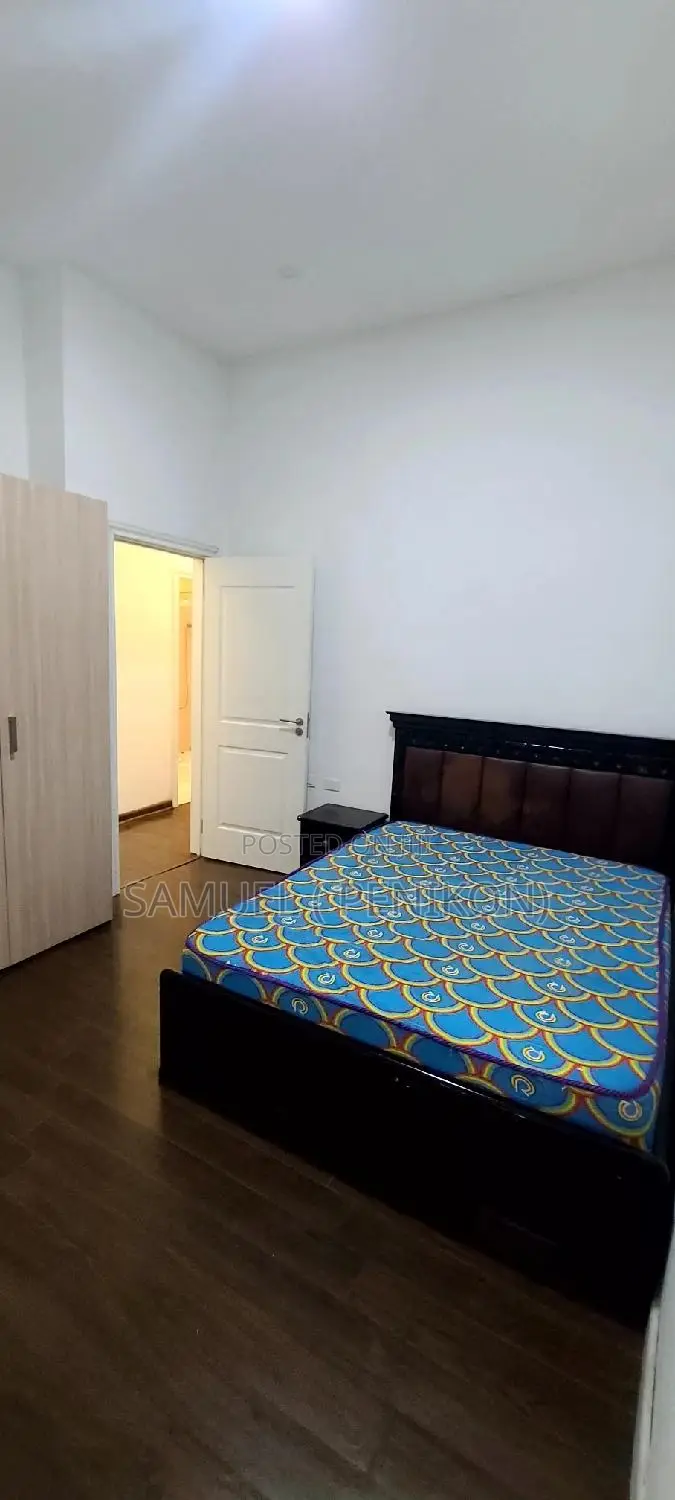Furnished 3bdrm Apartment in Luxury Apartment, Bole for sale