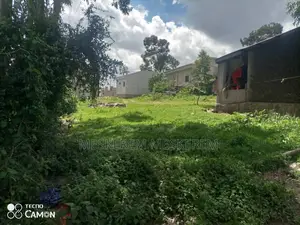 አስቸኳይ ሽያጭ ቦሌ ቡልቡላ ልዩ ቦታው ሪፌንቲ ቀይ አፈር ሰፊ መሬት / 2 ክፍል ትንሽ ቤትና ሰርቪስ ያለው