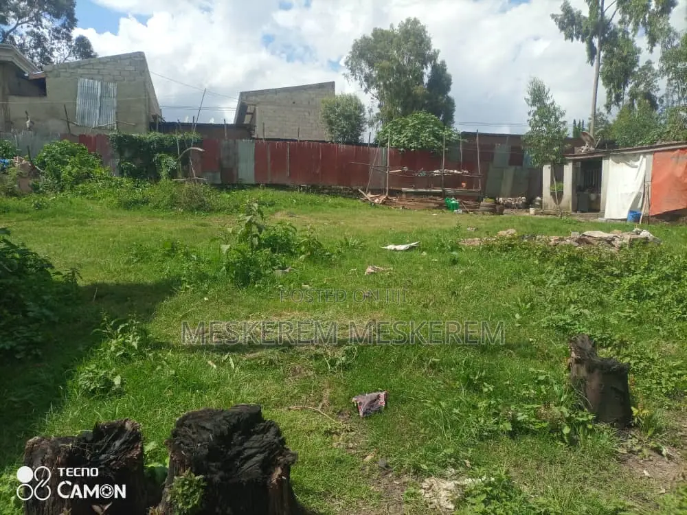 አስቸኳይ ሽያጭ ቦሌ ቡልቡላ ልዩ ቦታው ሪፌንቲ ቀይ አፈር ሰፊ መሬት / 2 ክፍል ትንሽ ቤትና ሰርቪስ ያለው