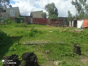 አስቸኳይ ሽያጭ ቦሌ ቡልቡላ ልዩ ቦታው ሪፌንቲ ቀይ አፈር ሰፊ መሬት / 2 ክፍል ትንሽ ቤትና ሰርቪስ ያለው