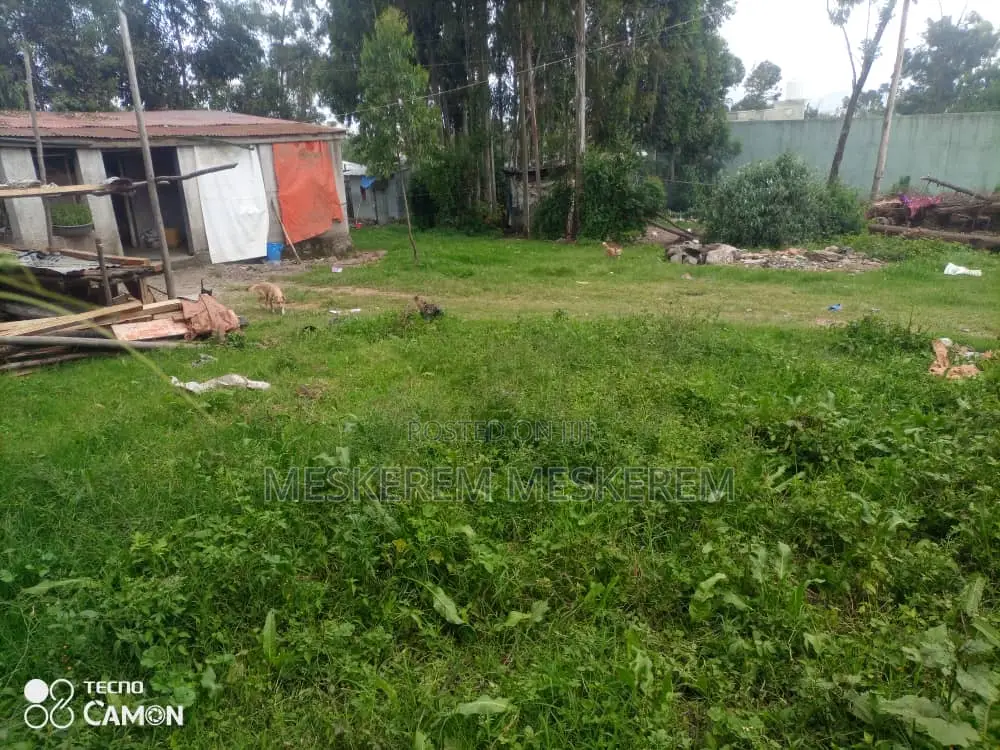 አስቸኳይ ሽያጭ ቦሌ ቡልቡላ ልዩ ቦታው ሪፌንቲ ቀይ አፈር ሰፊ መሬት / 2 ክፍል ትንሽ ቤትና ሰርቪስ ያለው