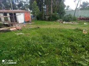 አስቸኳይ ሽያጭ ቦሌ ቡልቡላ ልዩ ቦታው ሪፌንቲ ቀይ አፈር ሰፊ መሬት / 2 ክፍል ትንሽ ቤትና ሰርቪስ ያለው