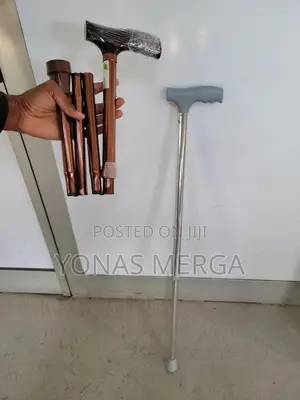 Photo - Walking Stick¶ከዘራ:እጥፍጥፍ ሚል*Walking Stick/Cane,Walking Cane,