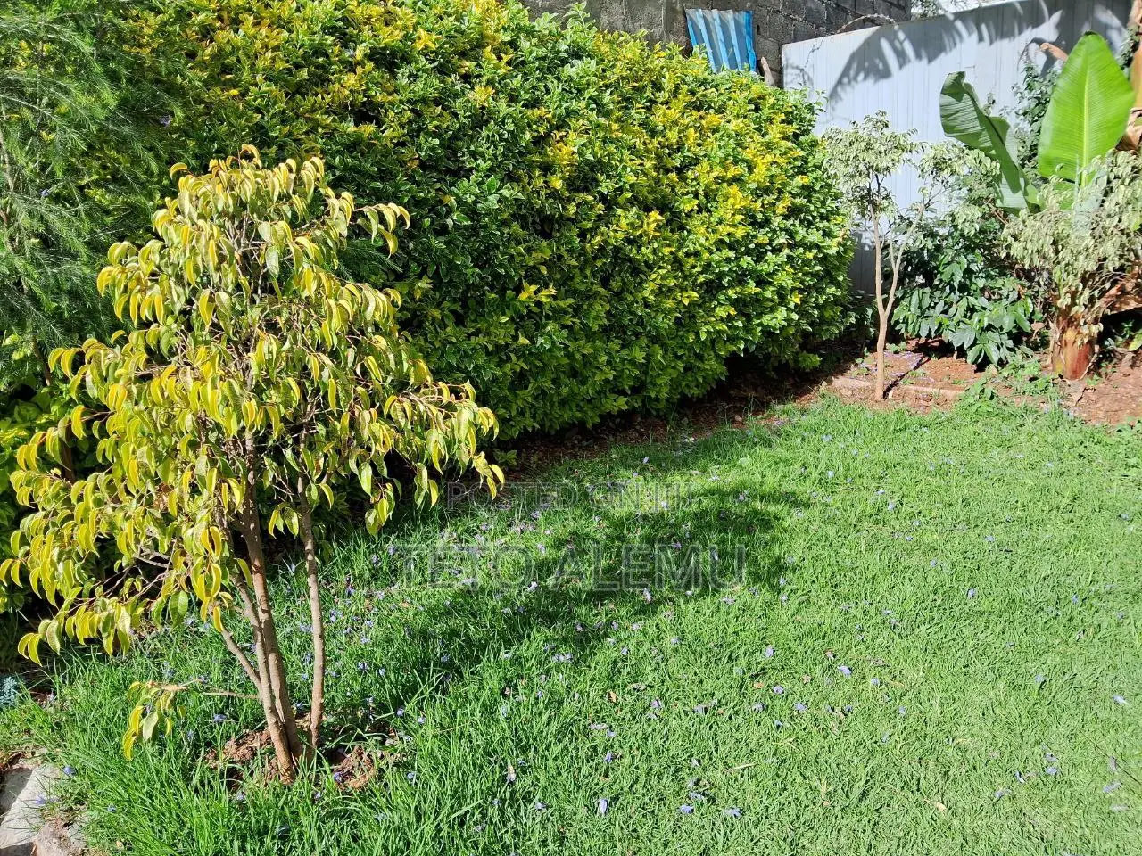 8bdrm House in የሚሸጥ ቤት ላምበርት አራራት, Yeka for sale