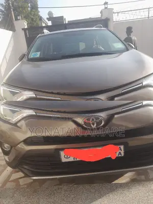 Photo - Toyota RAV4 2016 Brown