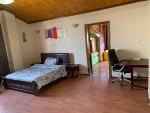 Furnished 5bdrm Penthouse in Bole for rent