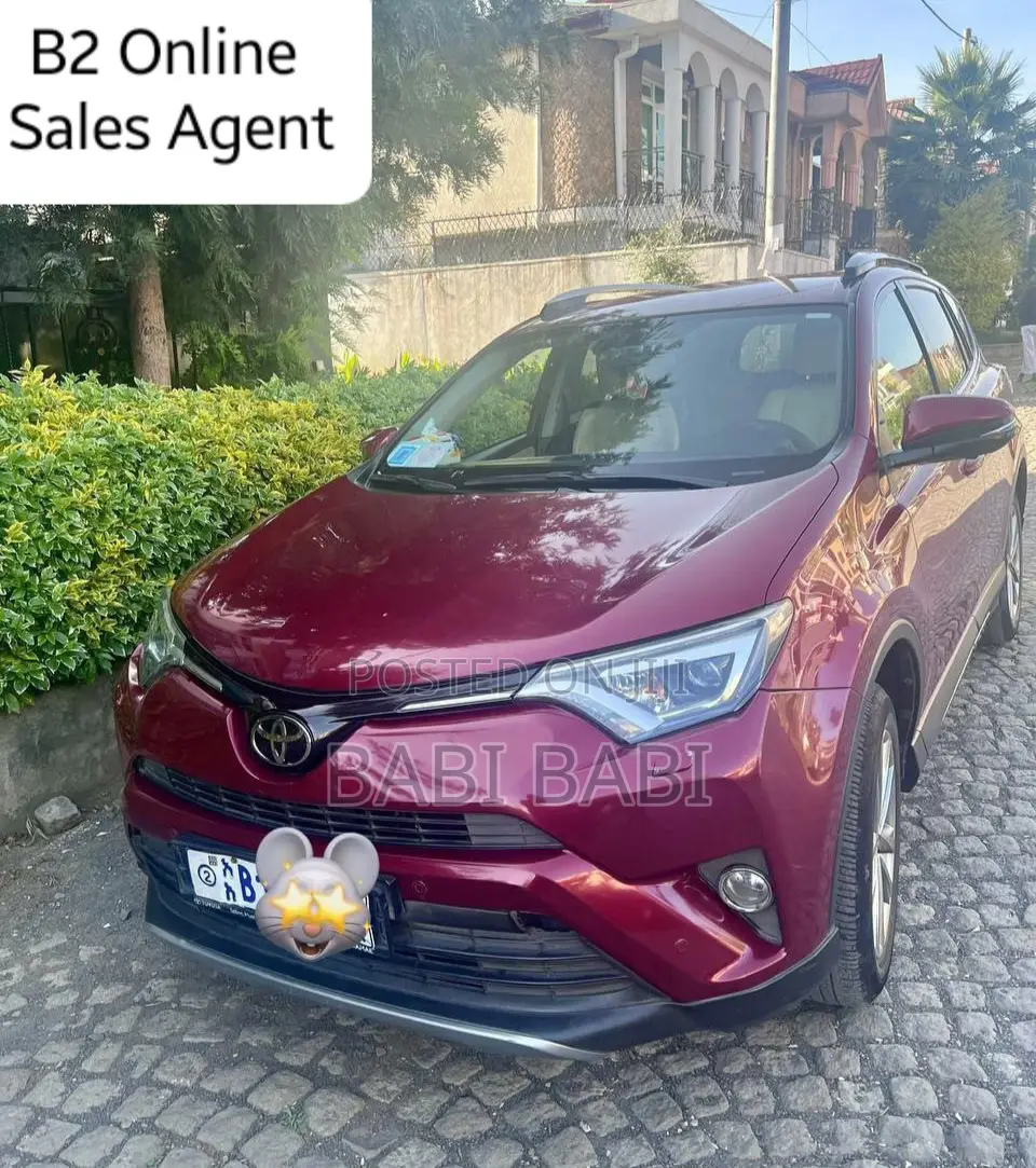 Toyota RAV4 2018 Burgundy