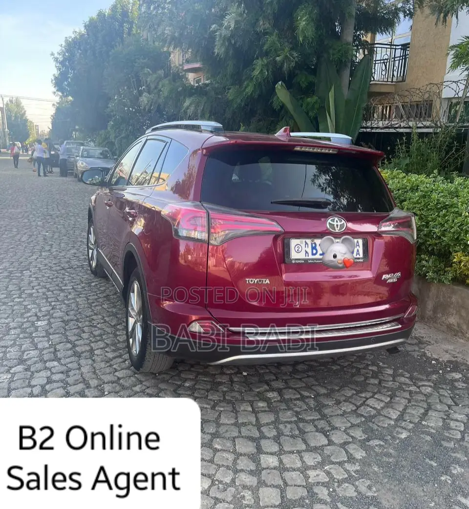 Toyota RAV4 2018 Burgundy