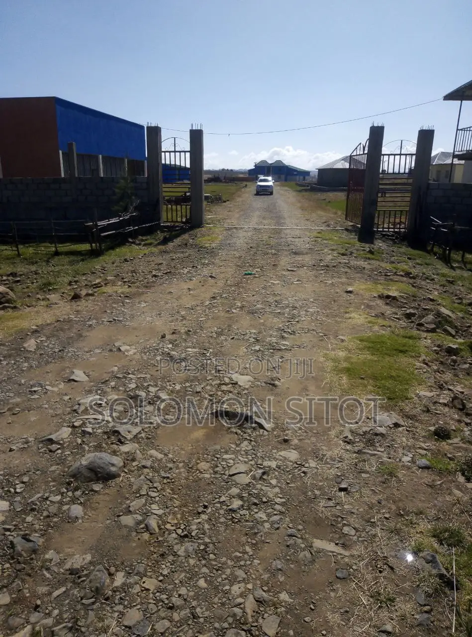 Milk Processing New Brand Machineries