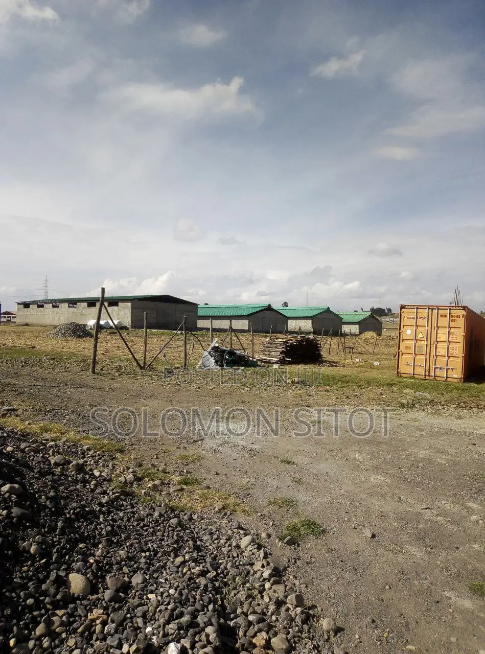 Milk Processing New Brand Machineries