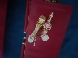 Best Ladies Luxurious Bag