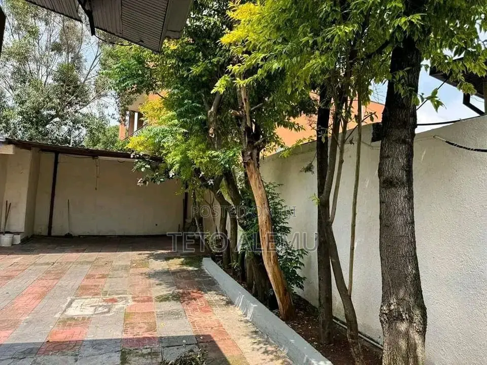 የሚሸጦ ፌኒሽግ የቀርው ቤት ፌጋ ጎሮ አካባቢ