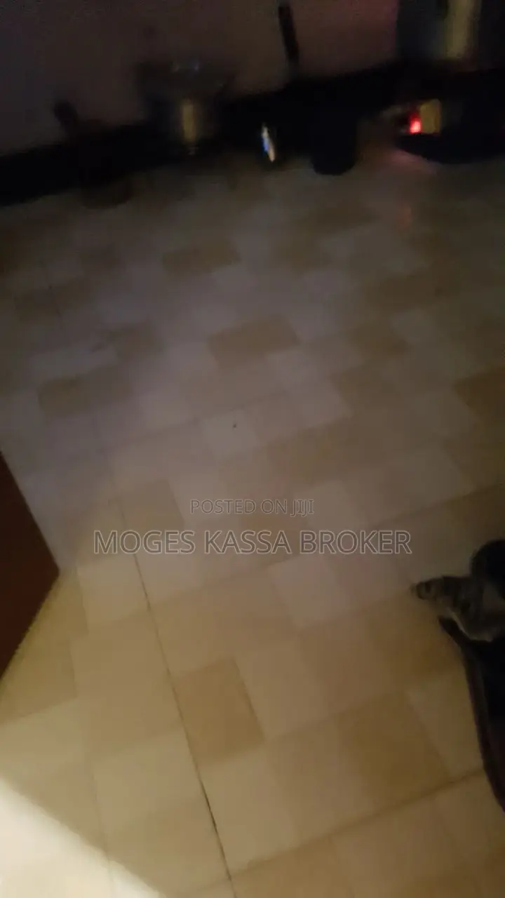 Furnished 1bdrm Condo in አያት የካ 2 የሚሸጥ, Yeka for sale