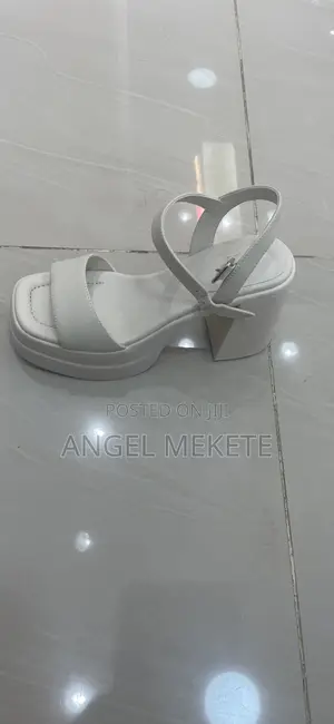 Photo - Aldo Chunky Heel Shoe