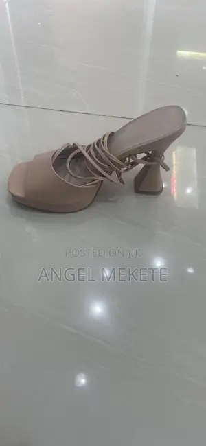 Aldo Shoe With Laces