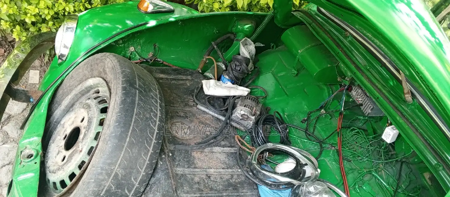 Volkswagen Beetle 1970 Green