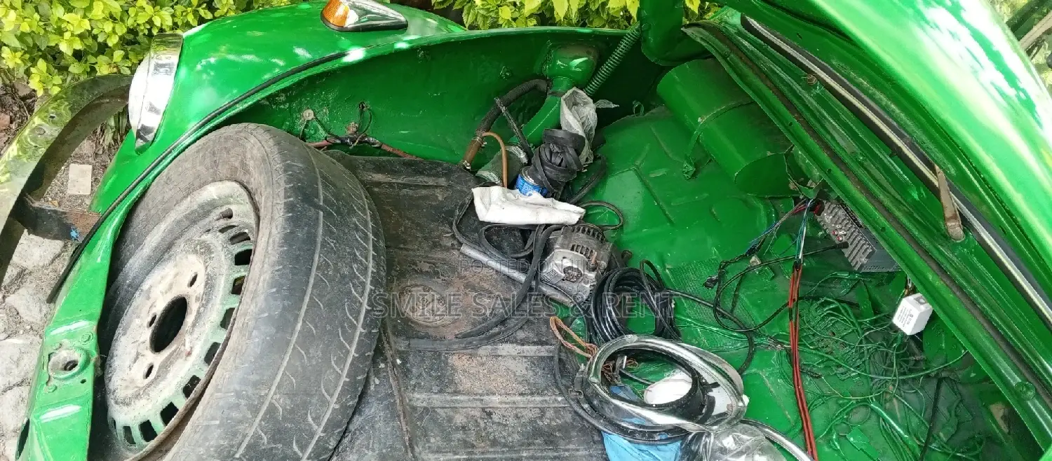 Volkswagen Beetle 1970 Green