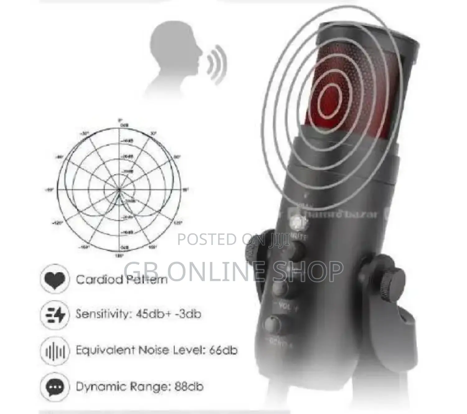 RGB Mc-Pw9 USB Recording Microphone