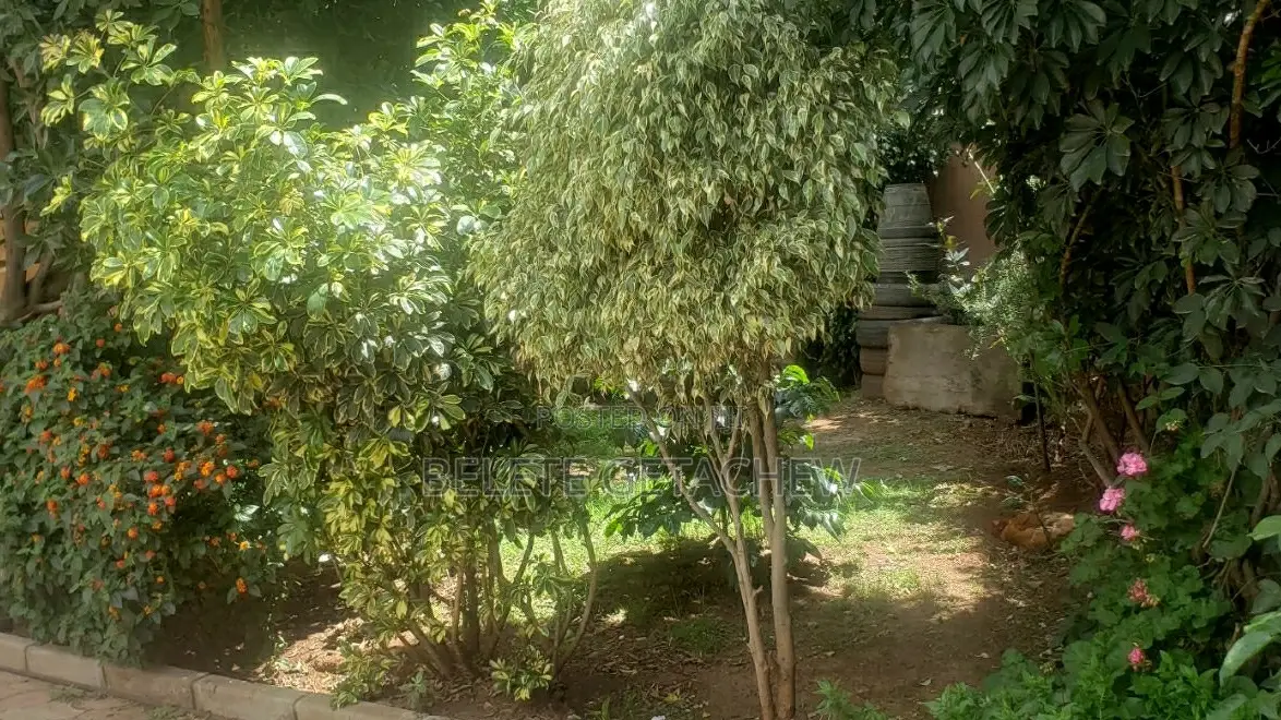 7bdrm Duplex in Ayat, G+2+Terrace,, Bole for sale