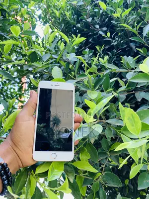 Photo - Apple iPhone 6s Plus 32 GB Gray