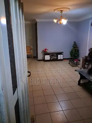 Furnished 2bdrm Condo in ኣባዶ ኮንደሚኒየም, Yeka for sale