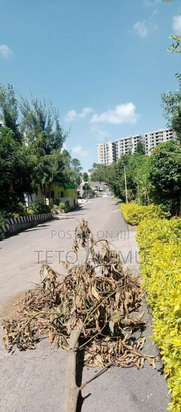 6bdrm House in የሚሸጥ ቅንጡ ቤት Cmc, Bole for sale