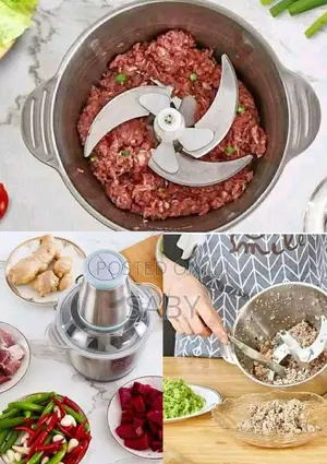 በኤሌክትሪክ የሚሰራ የሽንኩርት፣