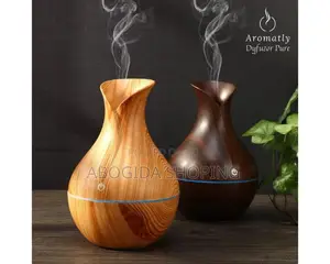 Photo - Mini Aroma Humidifier