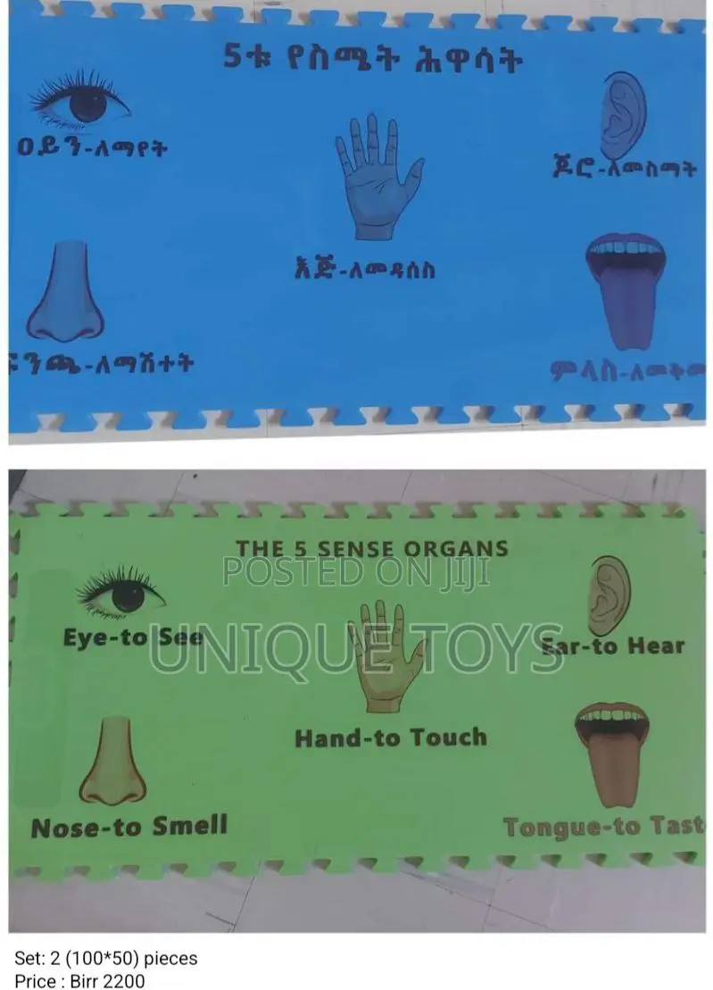 Educational, Comfy, and Joyful Puzzle Mats