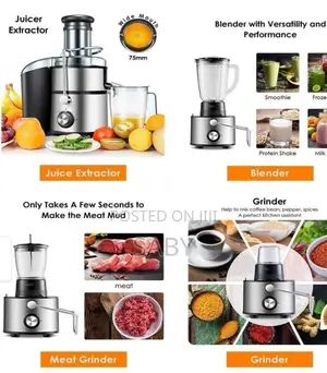 Sayona 4in1 Blender Juicer