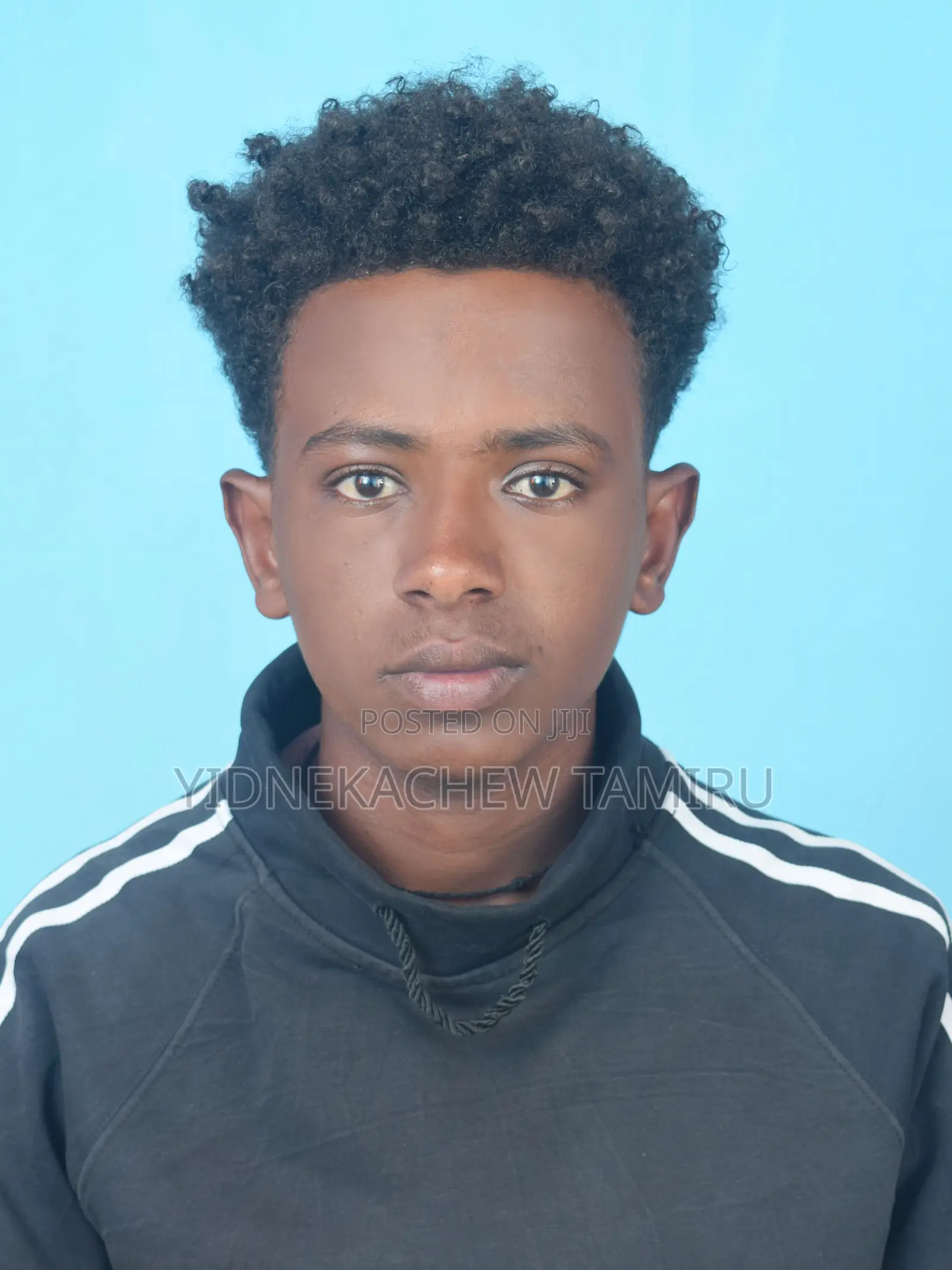 It Technical Support Engineer | Web Developer