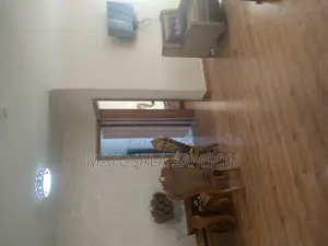 Furnished 4bdrm Apartment in Matu, Bole for rent
