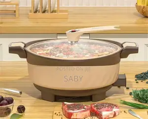 Multipurpose Electric Micro Pressure Cooker