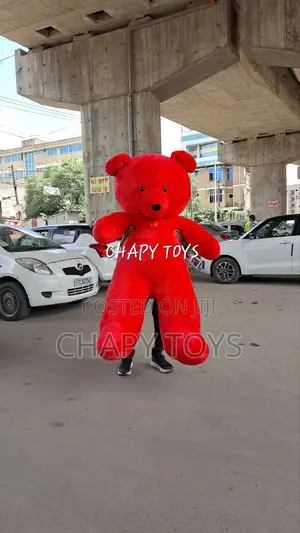 The Biggest Teddy Bear 2meter Chapy Toys
