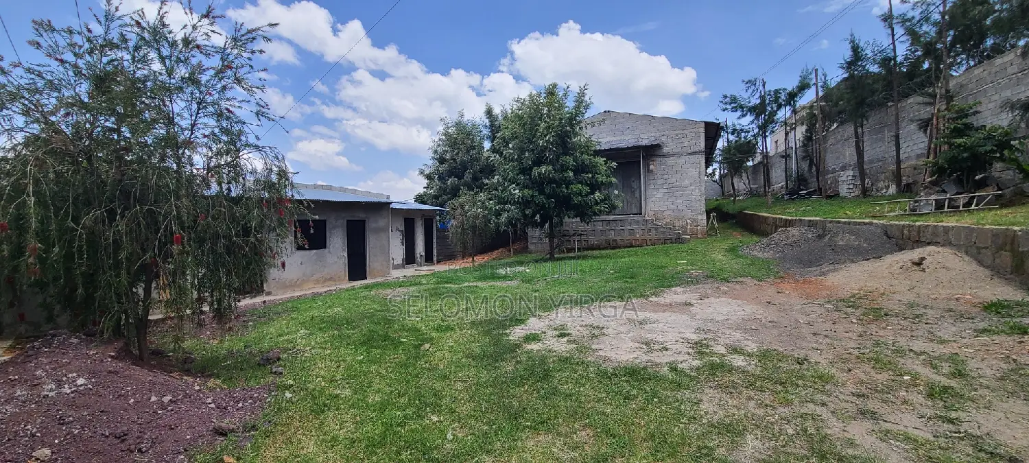 Scope of Warehouse for Rent