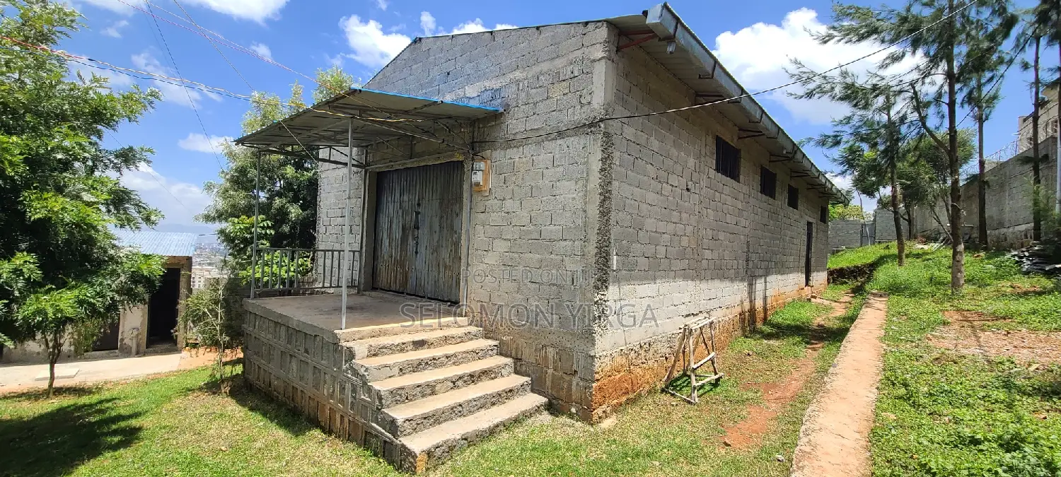 Scope of Warehouse for Rent