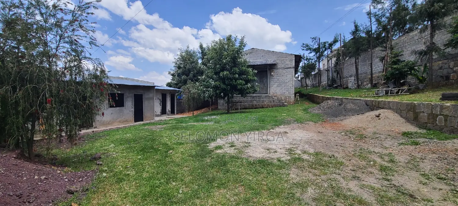 Scope of Warehouse for Rent