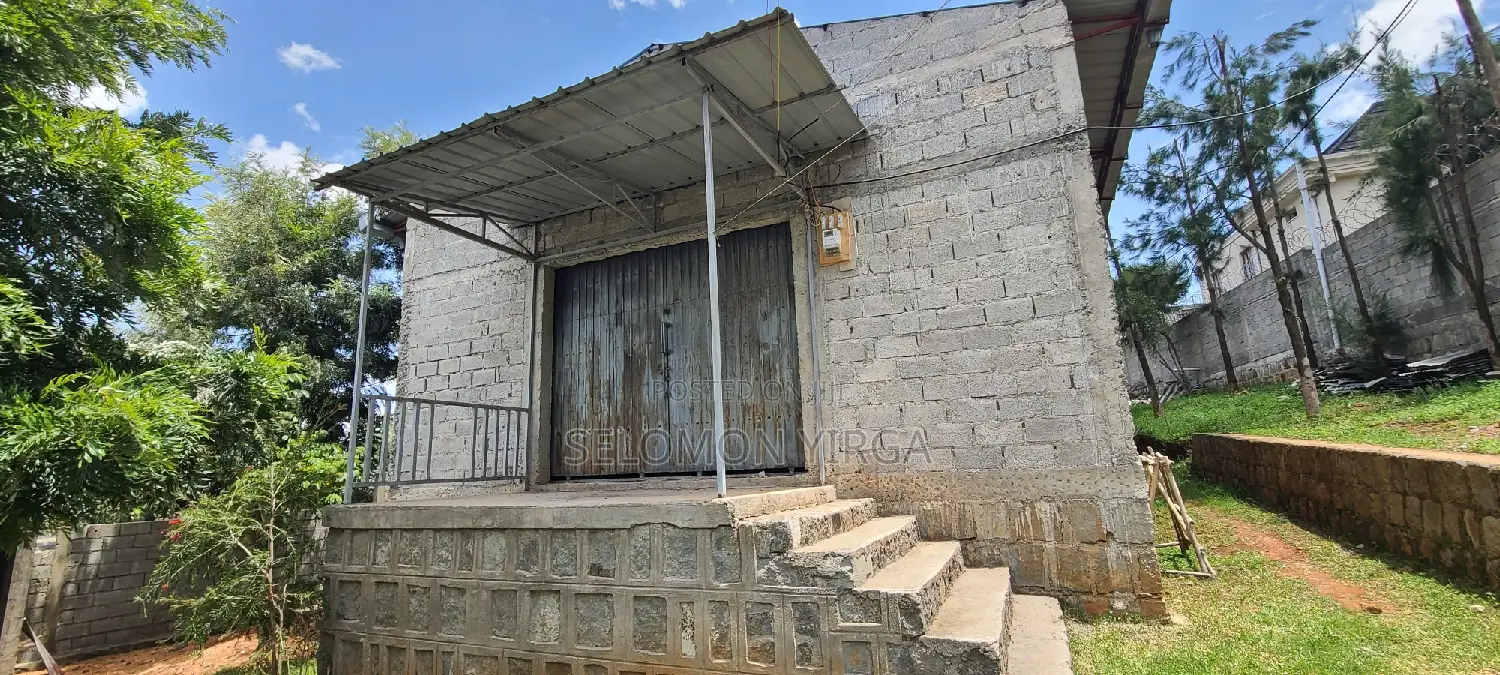 Scope of Warehouse for Rent