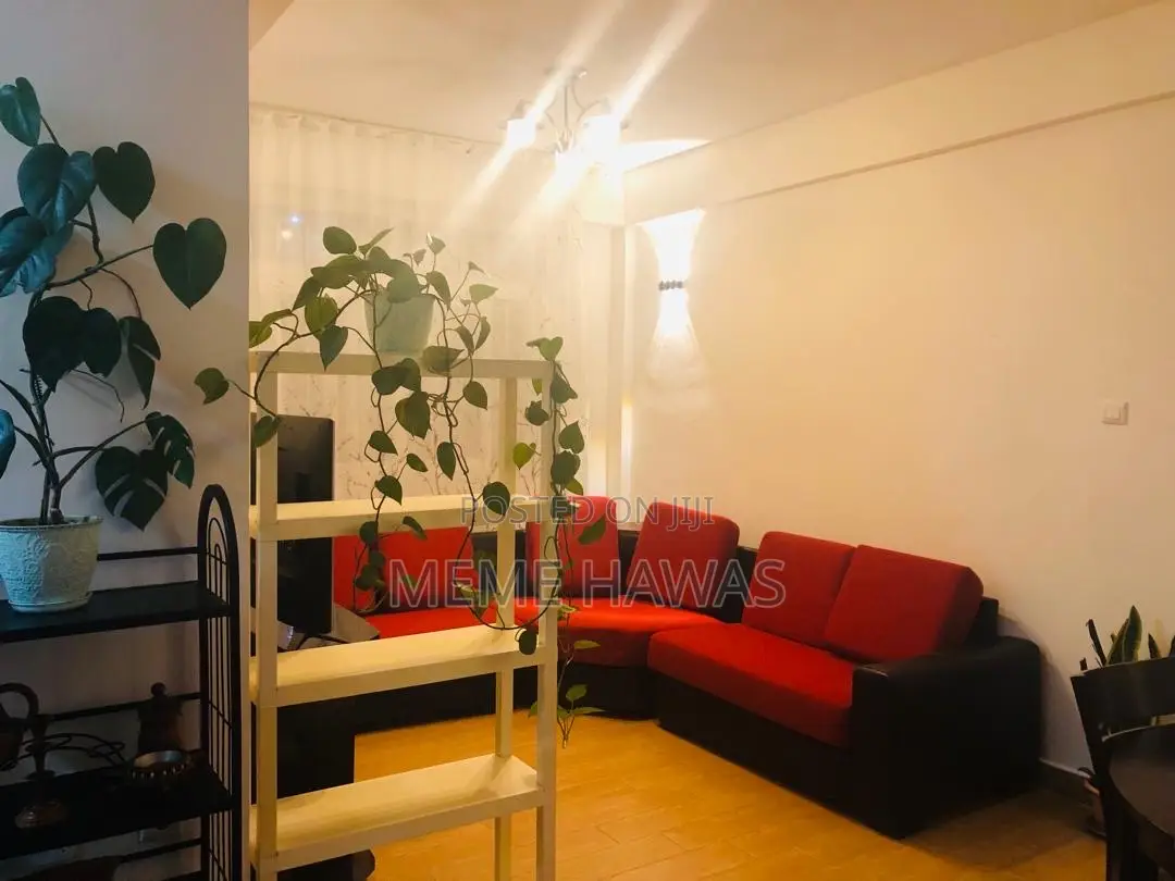 Furnished 1bdrm Apartment in Sunshine Apartment, Yeka for rent
