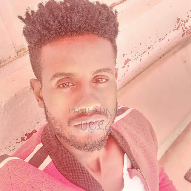 Sofa Furnitures Mentenance Services